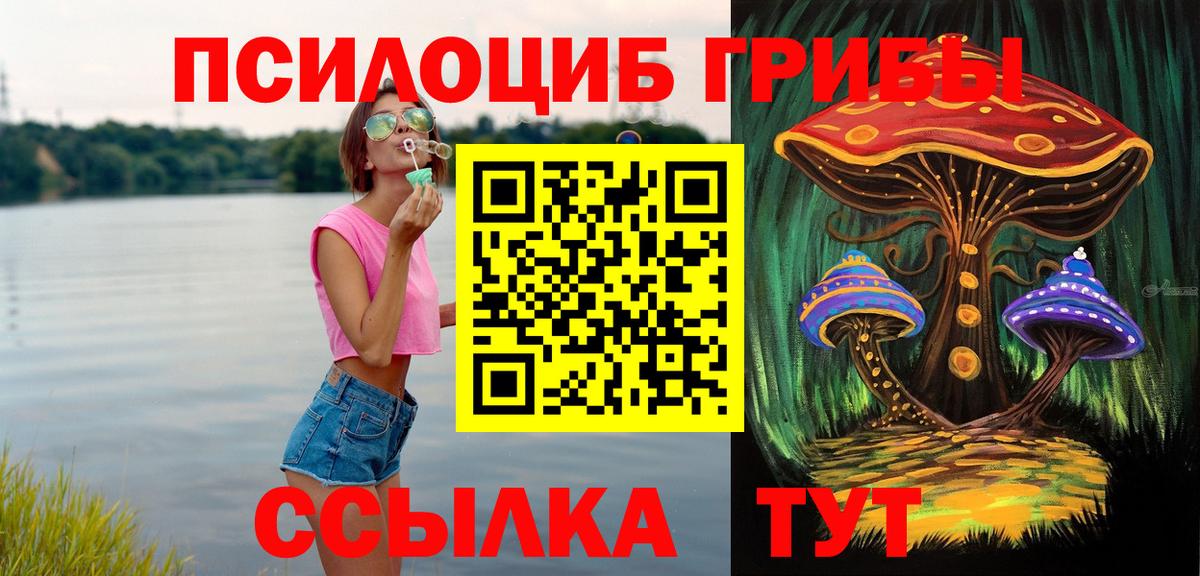 Псилоцибиновые грибы Cubensis  сколько стоит  Вход с VPN  Свободный  Галлюциногенные грибы Psilocybine cubensis 